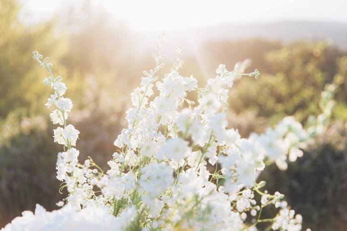 Stunning white themed garden wedding