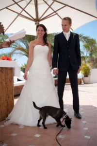 pets at wedding ceremonies