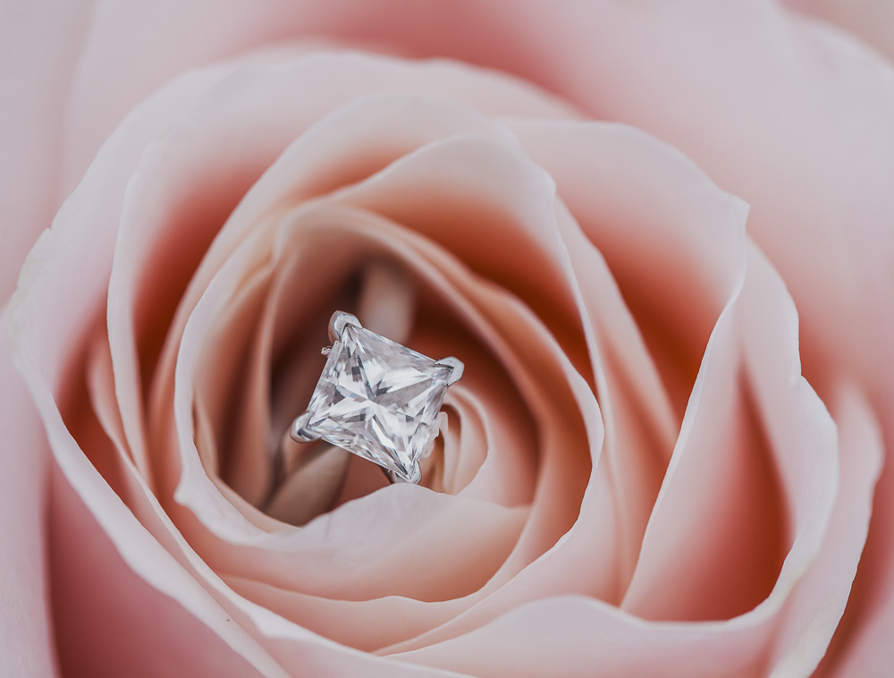 Wedding ring in a rose Eloy Muñoz Photography