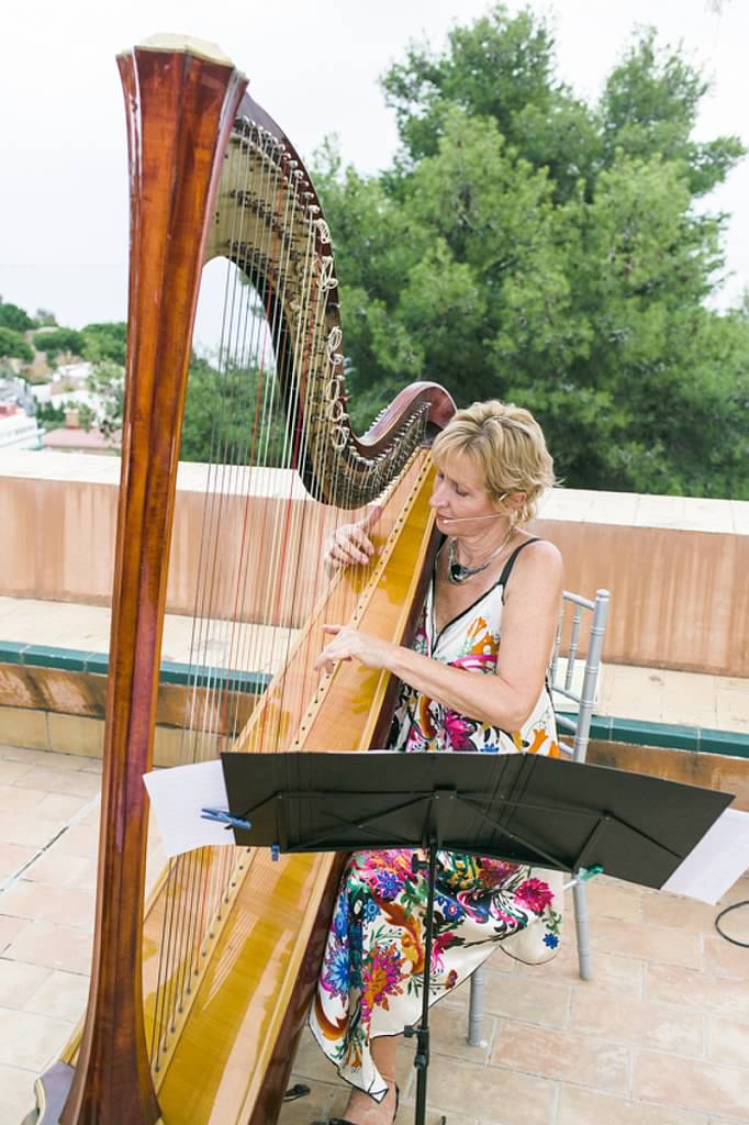 I cannot tell you how special it is to have live music during a ceremony, and a harp no less. Makes me goosebumpy.