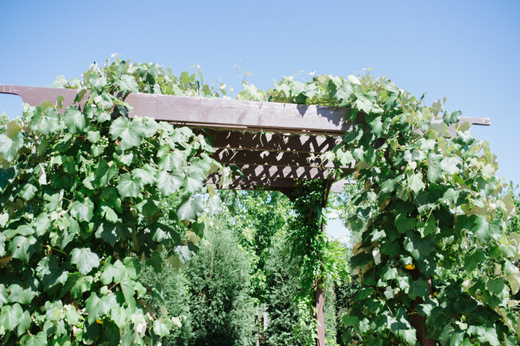 Laura and Andy Game of Thrones inspired wedding